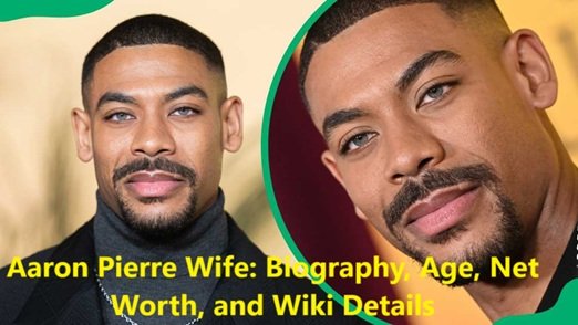 Aaron Pierre Wife